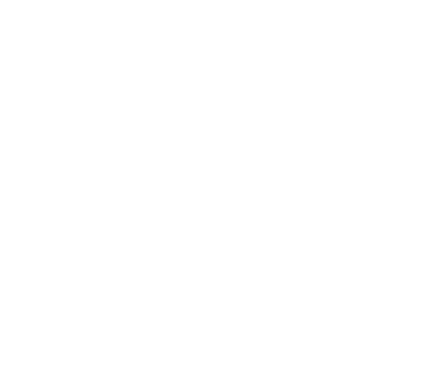 BankID Logo